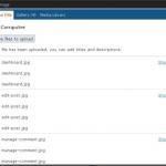 inline-uploader-display-bug
